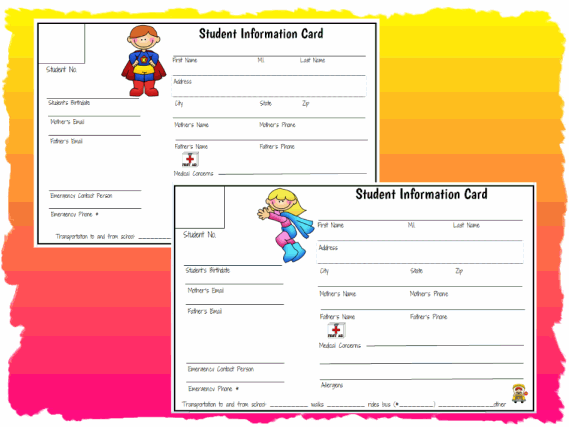 student-information-cards-printable-worksheet-with-answer-key-lesson