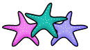 us7_starfish4.gif