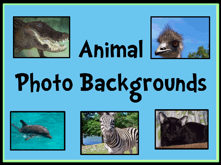 Animal Photograph Backgrounds