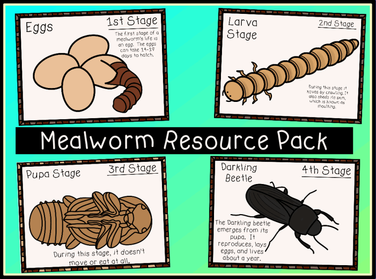 Mealworms Resource Pack